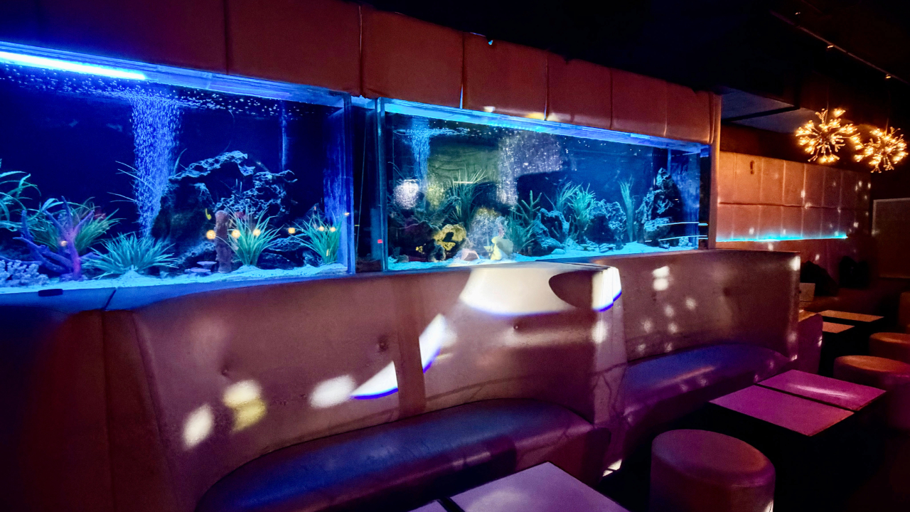 Panash interior 8